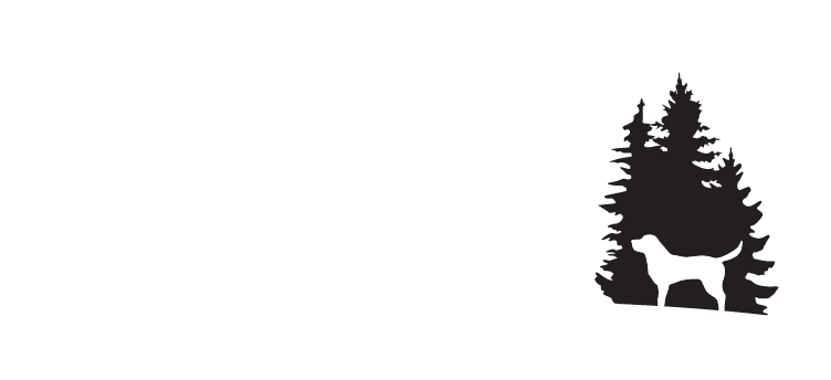 Blackwoods Labradors